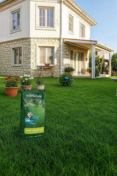 Genta Prestige Güzel Görünüm Çim Tohumu 10 Kg
