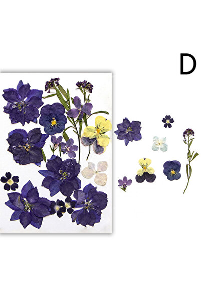 Choice12 D Dried Flowers Real Natural Plant Pressed Flower For Epoxy Resin Fi...