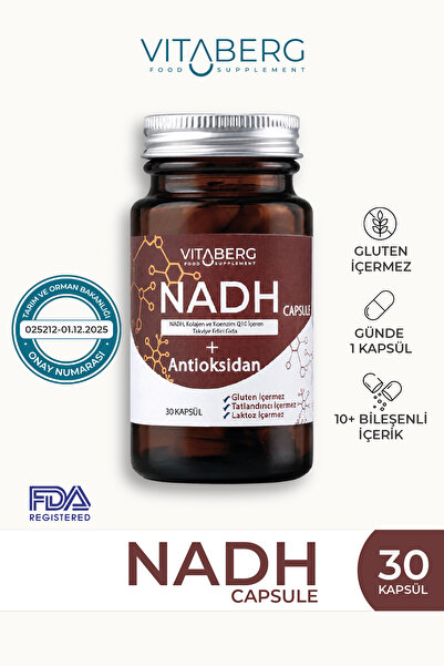 Vitaberg NADH Antioksidan+ | PQQ, Koenzim Q10, Resveratrol, Kolajen Tip II