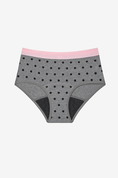 Penti My First Menstruation Dotty Grey Multicolor Hipster Panties
