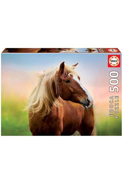 EDUCA 500 Horse At Sunrıse Fsc(R)