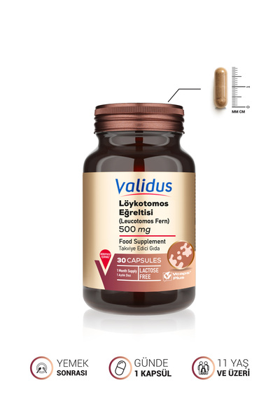 Validus Löykotomos Fern 500 mg - Astaksantin 20 mg 30 Capsules
