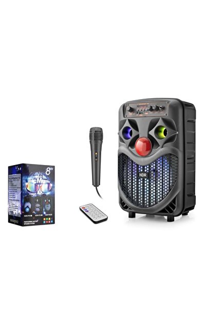 NDR NDRP66 Karaoke Mikrofonlu Bluetooth Hoparlör FM Radyo 10W 8 İnç RGB Siyah