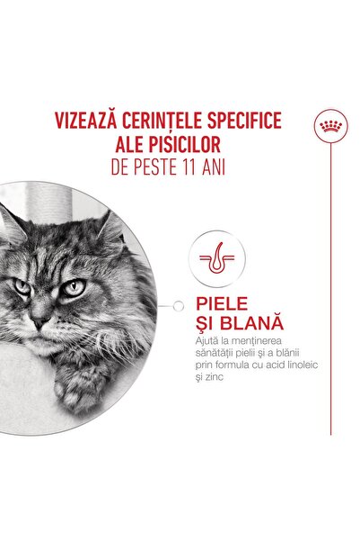 Royal Canin Hrană uscată pentru pisici în vârstă 11+ ani, Senior, 4 kg