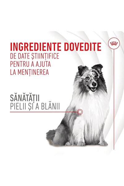 Royal Canin Supliment mestecabil pentru piele și blană pentru câini adulți 240 g