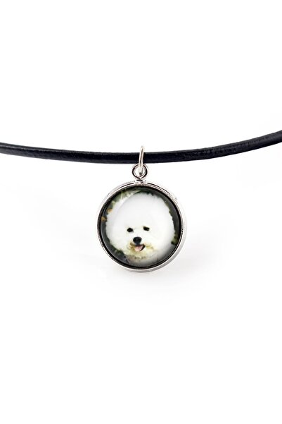Art - Dog Bichon Frise, Bichon Tenerife - pandantiv pentru colier cu fotograf...