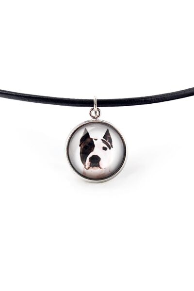 Art - Dog American Staffordshire Terrier - pandantiv pentru colier cu fotogra...