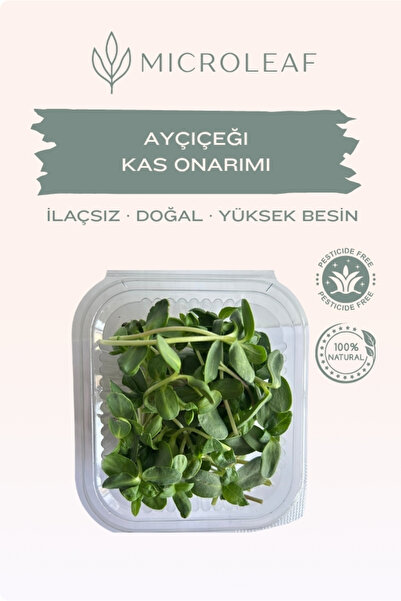 MICROLEAF Ayçiçeği Mikro Yeşillik - Tam Protein E Vitamini Hücre Zarı Korumas...