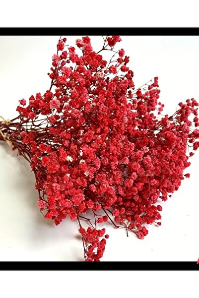 Handmade Kırmızı cipso soklanmış kuru çiçek 50 dal mini süslemeler için