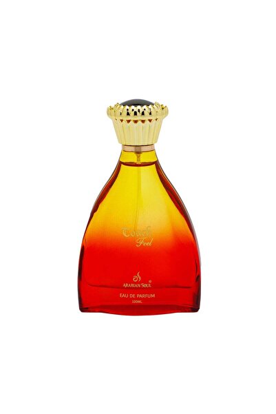 Arabian Soul Touch Feel Perfume 100ml for Unisex | Elegant Aldehydic Floral F...