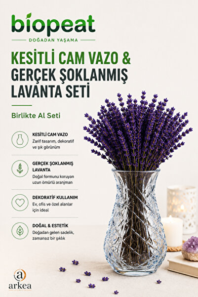 BioPeat Kesitli Cam Vazo & Gerçek Şoklanmış Lavanta Seti Dekoratif Lavanta Ar...