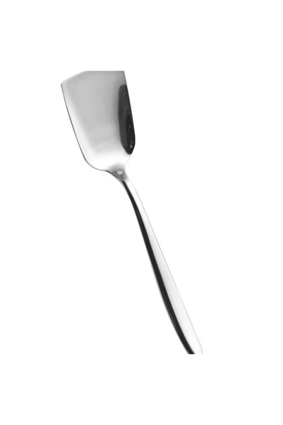 Salvinelli Set of 6 Fast Stainless Steel Ice Cream Spoon 136 mm – Premium 18/...