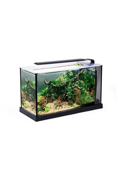ANUBIAS AQUARIUM LIVE PLANTS Anubias A368 Nano Akvaryum Set 52x19x30 cm
