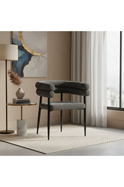 Ebticar Dark Grey Side Chair with Curved Design