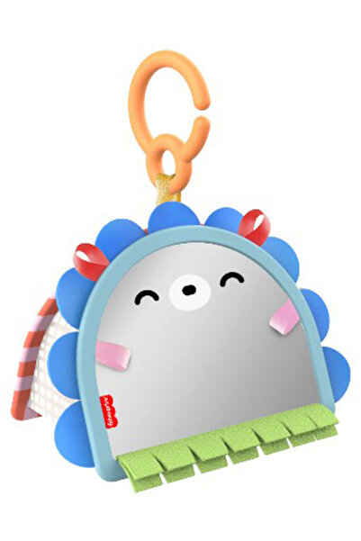 FISHER PRICE Fisher-Price Balanced Beginnings 2in1 Mirror (JHB45)