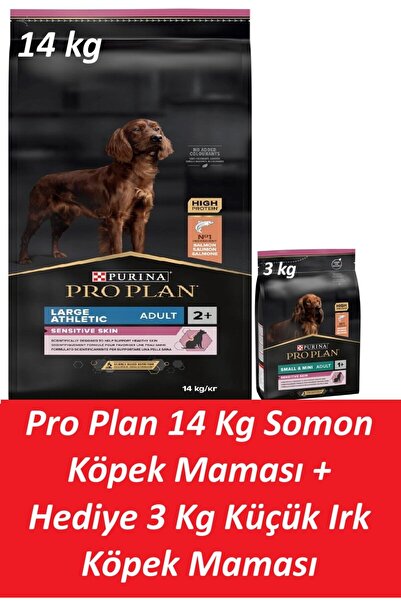 Pro Plan 14 Kg Somon Köpek Maması + Hediye 3 Kg Küçük Irk Köpek Maması