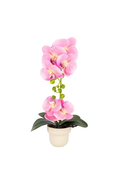 Naimeed Company -looking orchid in a ceramic pot, 49 cm, Naimeed D6896, Pink