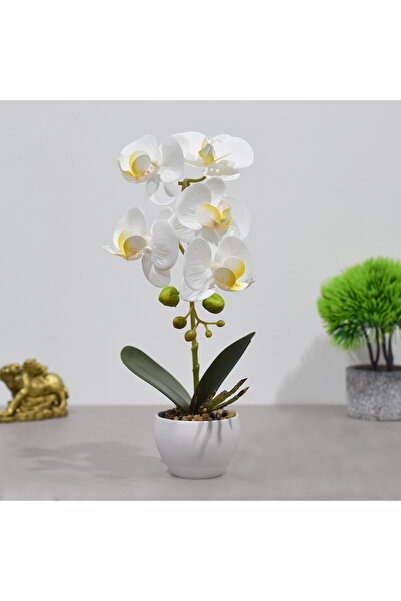 Naimeed Company Orhidee decorativă în ghiveci ceramic, 33 cm, Naimeed D4851, Alb