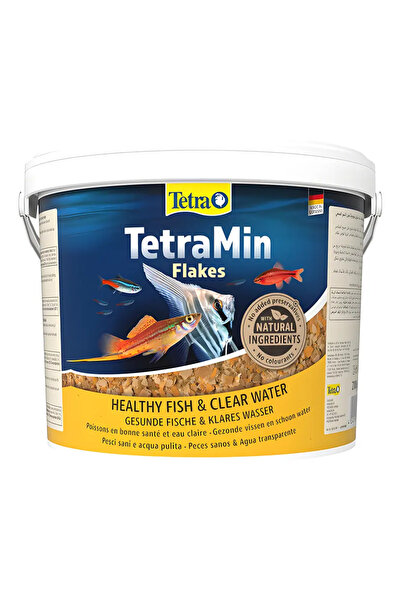 Tetra Tetramin Pul Balık Yemi 50gr Açık