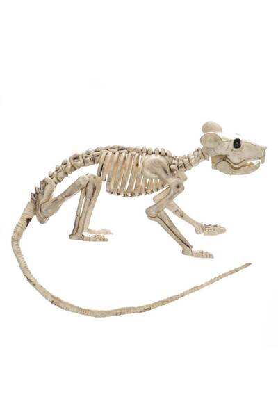 Zumzeria Șoarece decorativ de Halloween cu schelet 20cm