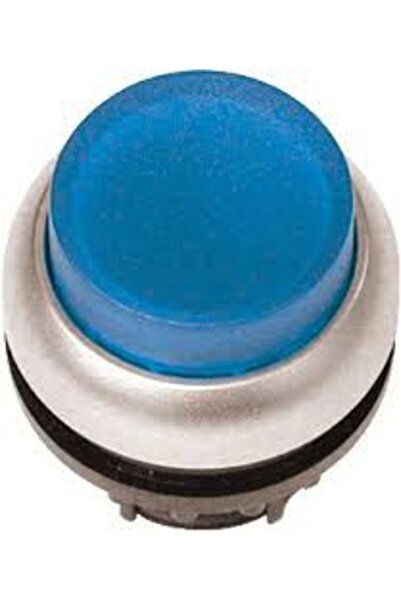 Eaton Buton albastru cu iluminare internă M22-DLH-B 216973
