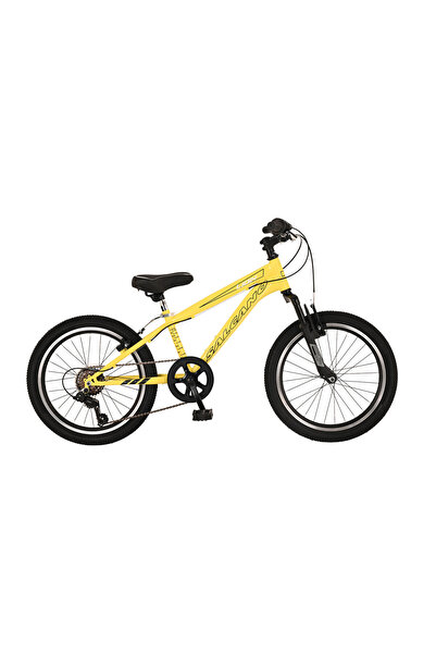 Salcano Lion 20 Jant Vitesli Erkek Çocuk Bisikleti (120-145 cm boy)