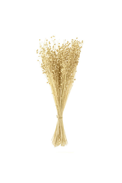 OEM Decorative Bouquet with Artificial Cream Seed Plants 50cm