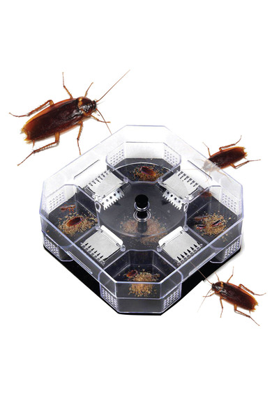 Zumzeria Capcană cu momeală pentru gândaci 13.5x4.5x13.5cm