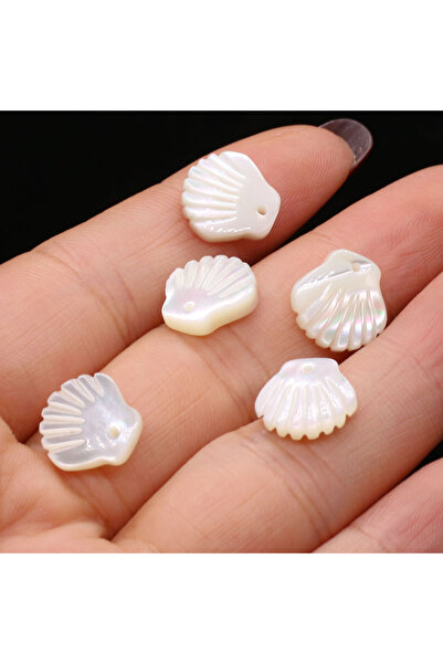 Choice White shell 5pcs 12mm Natural Shell White Scallop Small Pendant Charms...