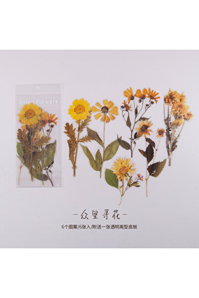 Choice4 8 6 Sheets Per Pack Dried Flower Pet Sticker Diy Manual Account Decor...