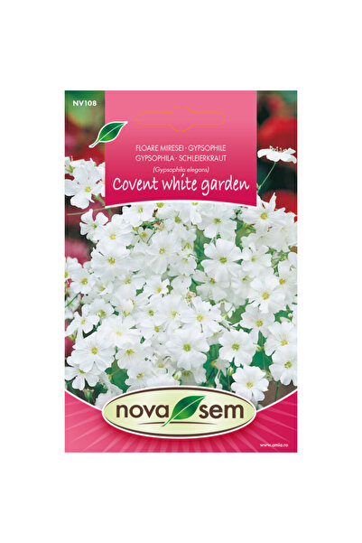 Novasem Seminte de flori floarea miresei de gradina alba Novasem, 1 g