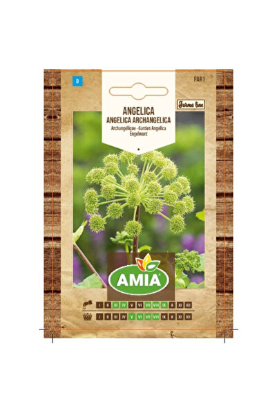 Amia Seminte de angelica, Farma Line Angelica archangelica