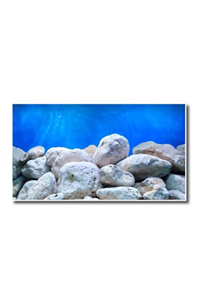 Amtra Adventure Διπλή Όψεως Αφίσα 15mt x 60cm