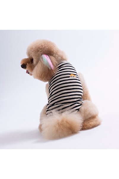 Pawstar تي شيرت Sunrise EmbroLine للقطط والكلاب - ملابس للقطط والكلاب