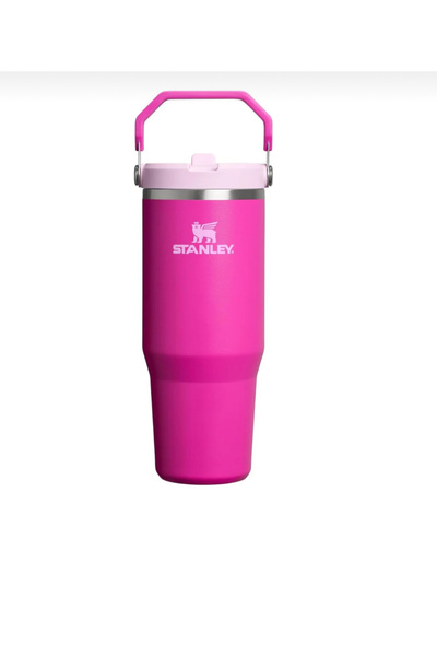 ABAS Stanley IceFlow 2.0 Flip Straw Tumbler with Handle 30 oz | Twist On Lid ...