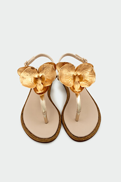 LAMİNTA Peta Orkide Detailed Stoned Women's Gold Flat Sandals