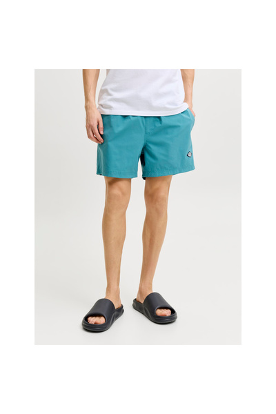 Jack & Jones Jack Jones Men's Color Changing Swim Shorts 12291491