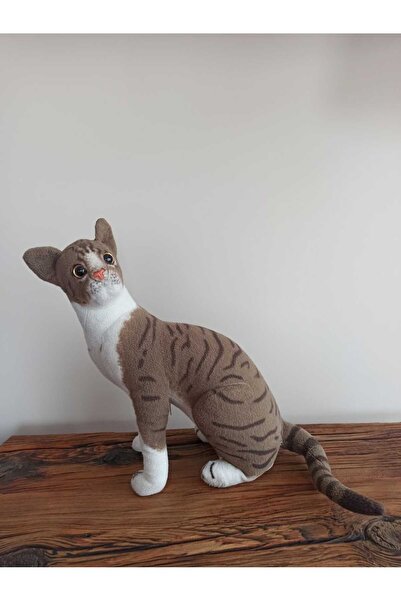 Hureggo Vintage Realistic Looking Large Size Tabby Cat Plush Toy & 36 cm