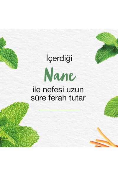 Yıldızan Nzr Beautestore Himalaya since 1930 Mint Freshness Herbal Toothpaste...