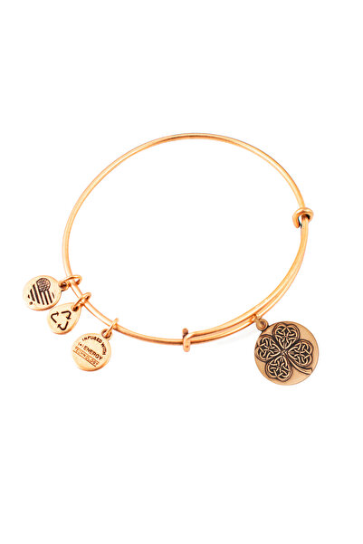 Alex and Ani Bratara Metal A16EBFLCRG