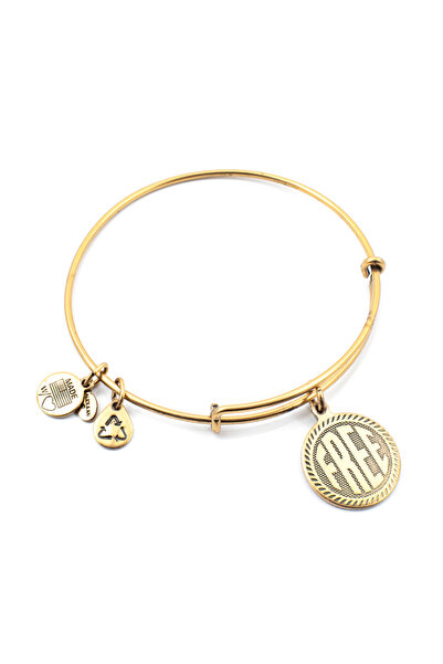 Alex and Ani Bratara Metal A10EB236RG