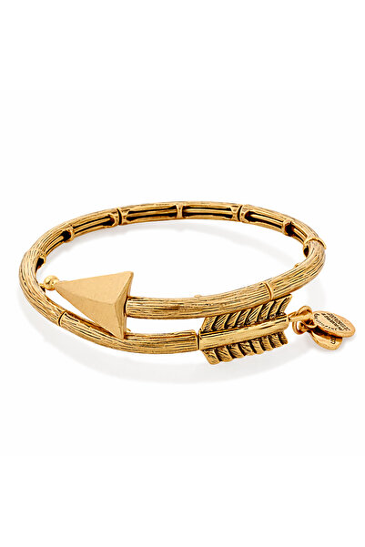 Alex and Ani Bratara Metal V16W02RG