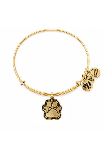 Alex and Ani Bratara Metal CBD14POLRG