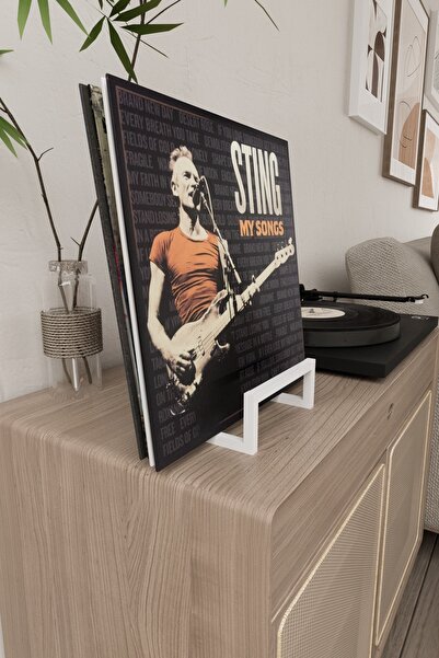 AJU Plak Standı LP Plak Tutucu Plaklık Plak Rafı Metal Modern Dekoratif Plak ...