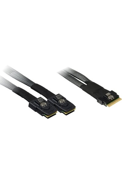 Inter-Tech Cablu Serial Attached SCSI (SAS) 0,75 m 24 Gbit/s Negru
