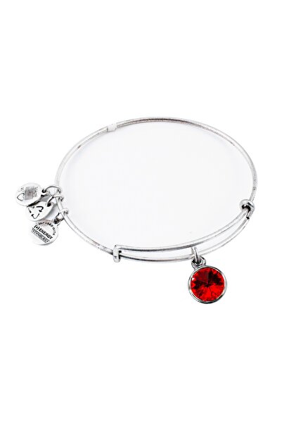 Alex and Ani ΓΥΝΑΙΚΕΙΟ ΒΡΑΧΙΟΛΙ A12EB246RS (19-25ΕΚ.)