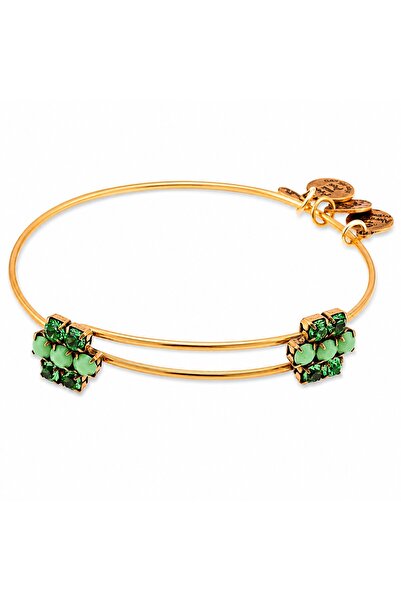 Alex and Ani ΓΥΝΑΙΚΕΙΟ ΒΡΑΧΙΟΛΙ A13EB75RG (20ΕΚ.)