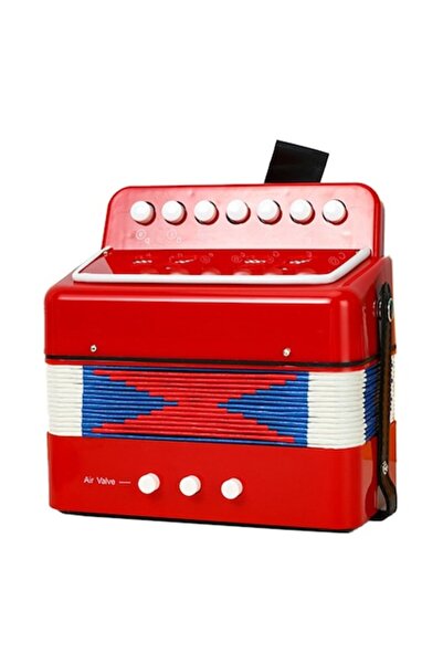 DAMUR Acordeon pentru copii, Acordeon jucărie pentru educație timpurie, 7 but...