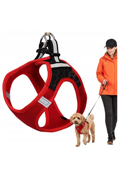 WOBELL Hamut Fara Presiune Pentru Caini Mici, Elemente Reflectorizante, Extre...