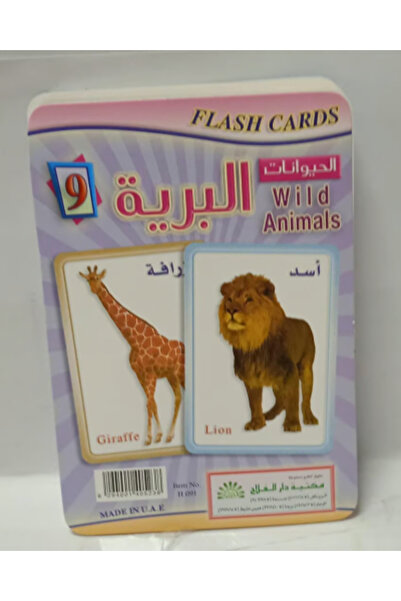 Educational Flash Card Wild Animals 12*12